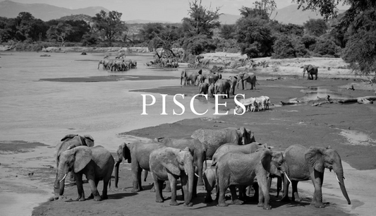 Pisces