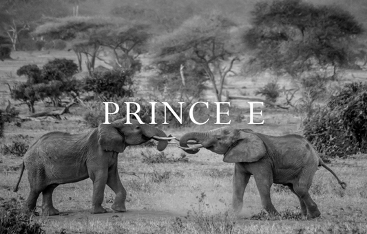 Prince E