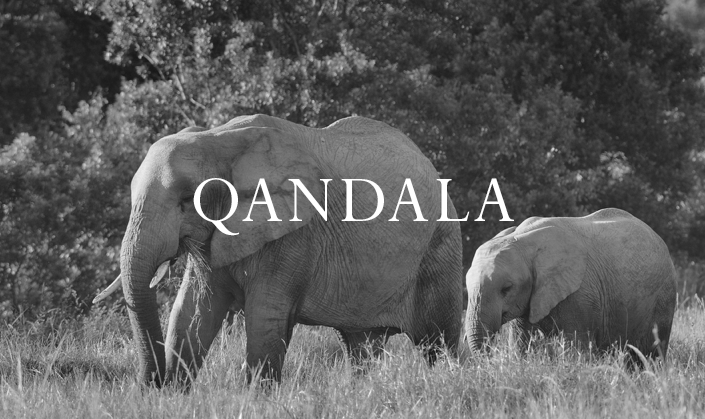 Qandala