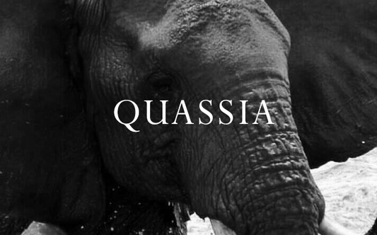 Quassia