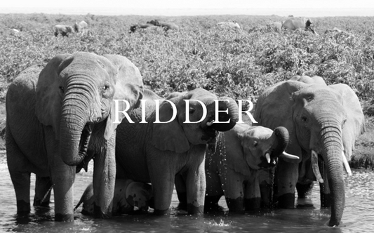 Ridder