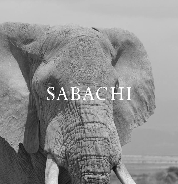 Sabachi