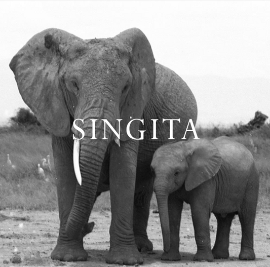 Singita