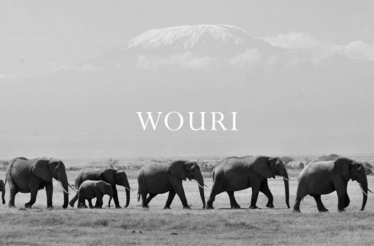 Wouri